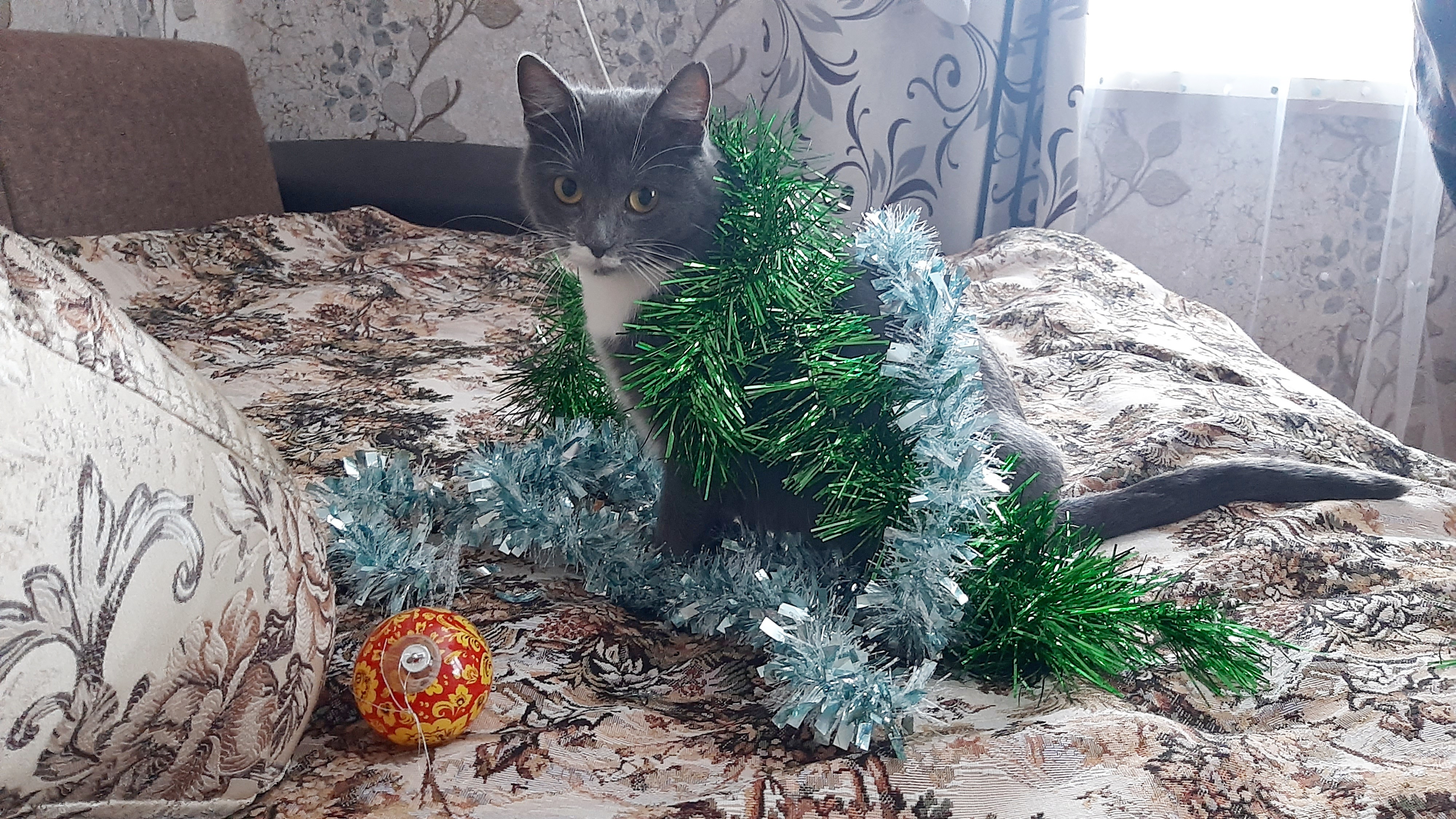 Нюся уже готовится к празднованию Нового года! А Вы?