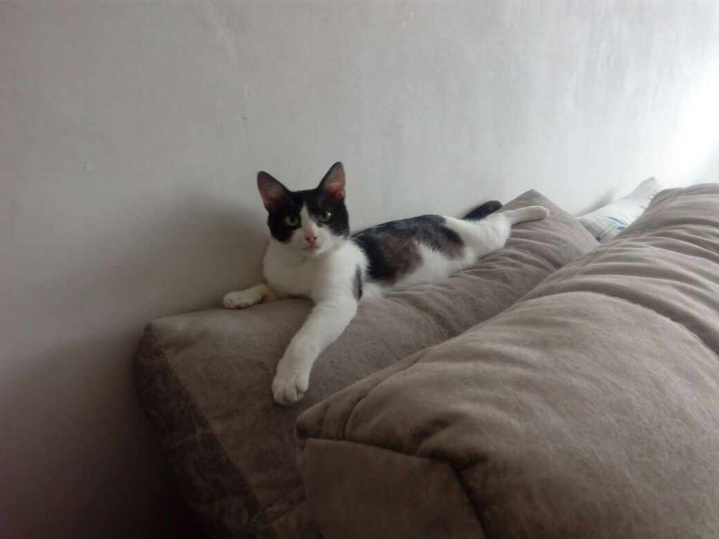 Хорошо живётся Тоше, это видно по довольной мордашке