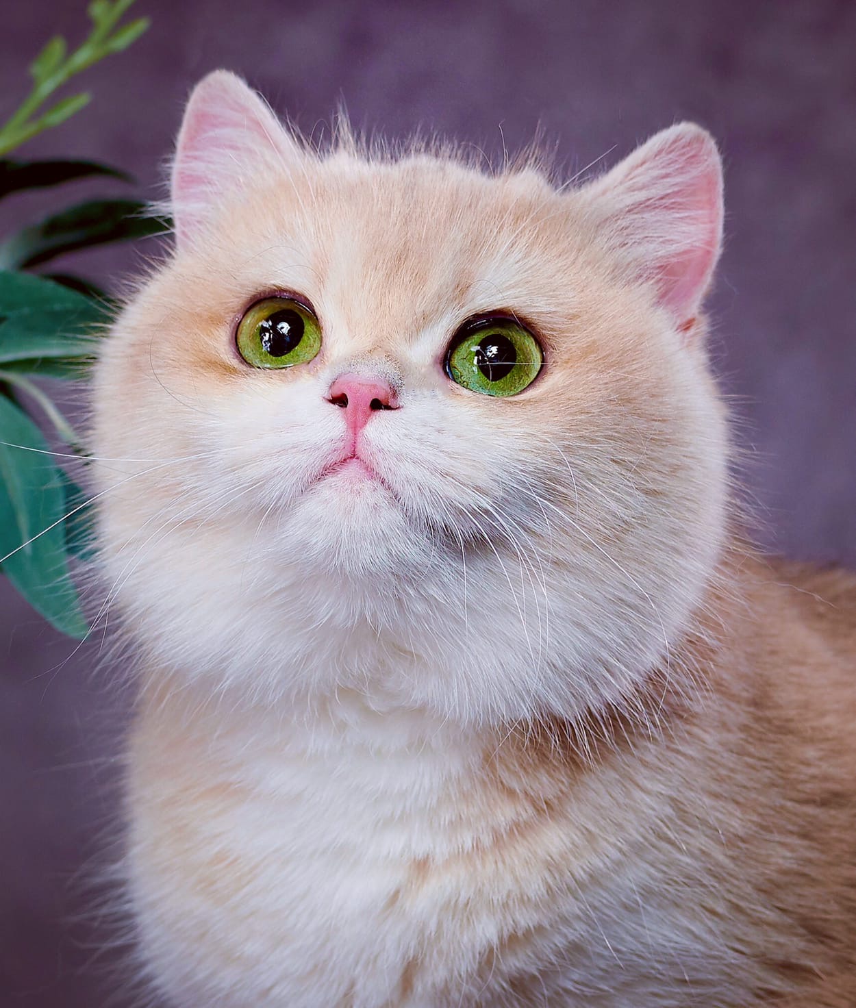 Спасибо за цветы, мне очень приятно