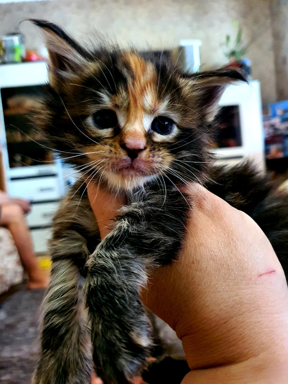 Спать хочется, убаюкайте меня