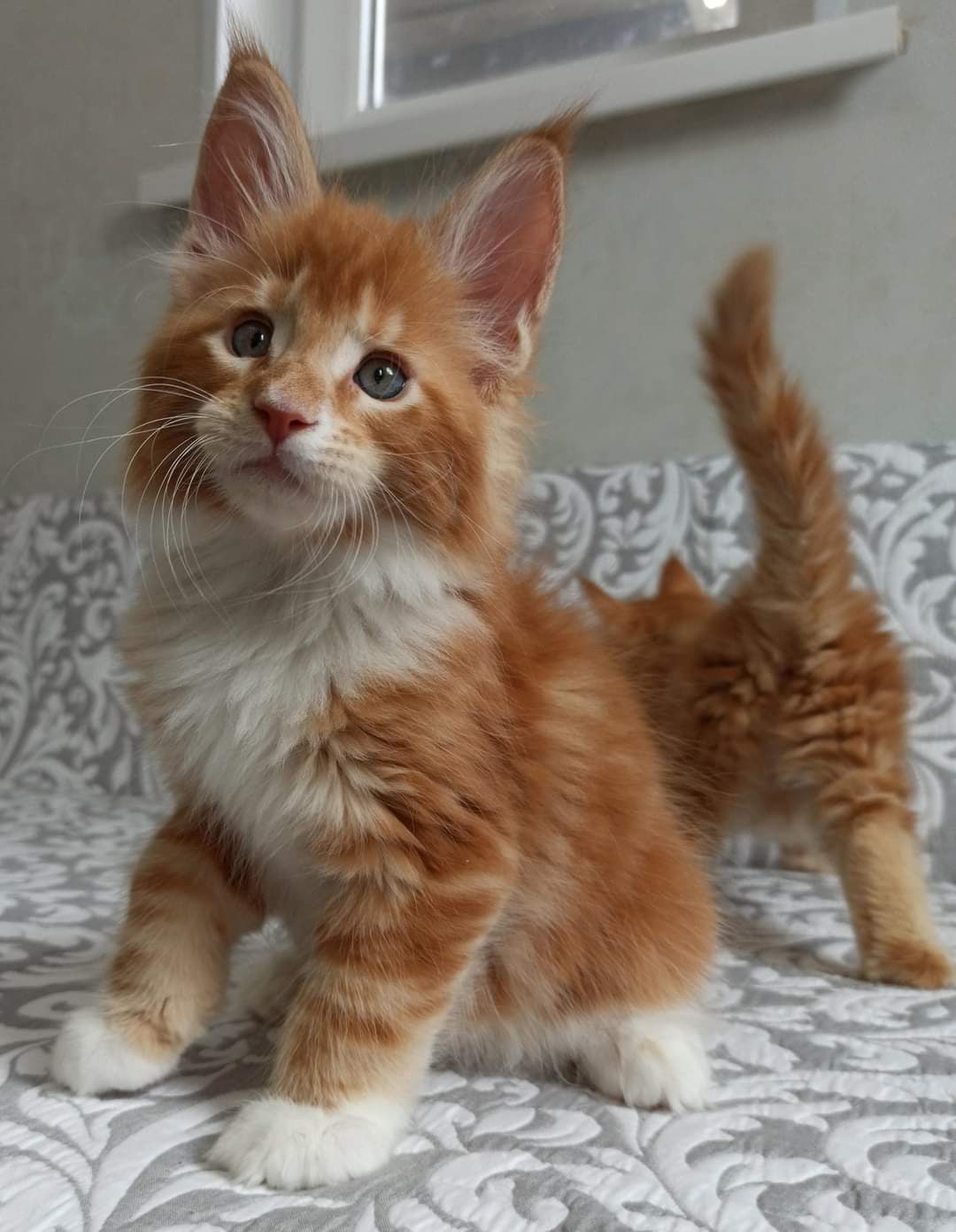 Мой братан балуется, а я нет, я хороший