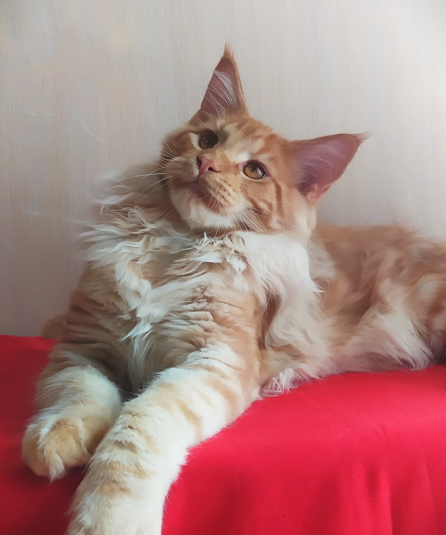 Разве уже утро наступило