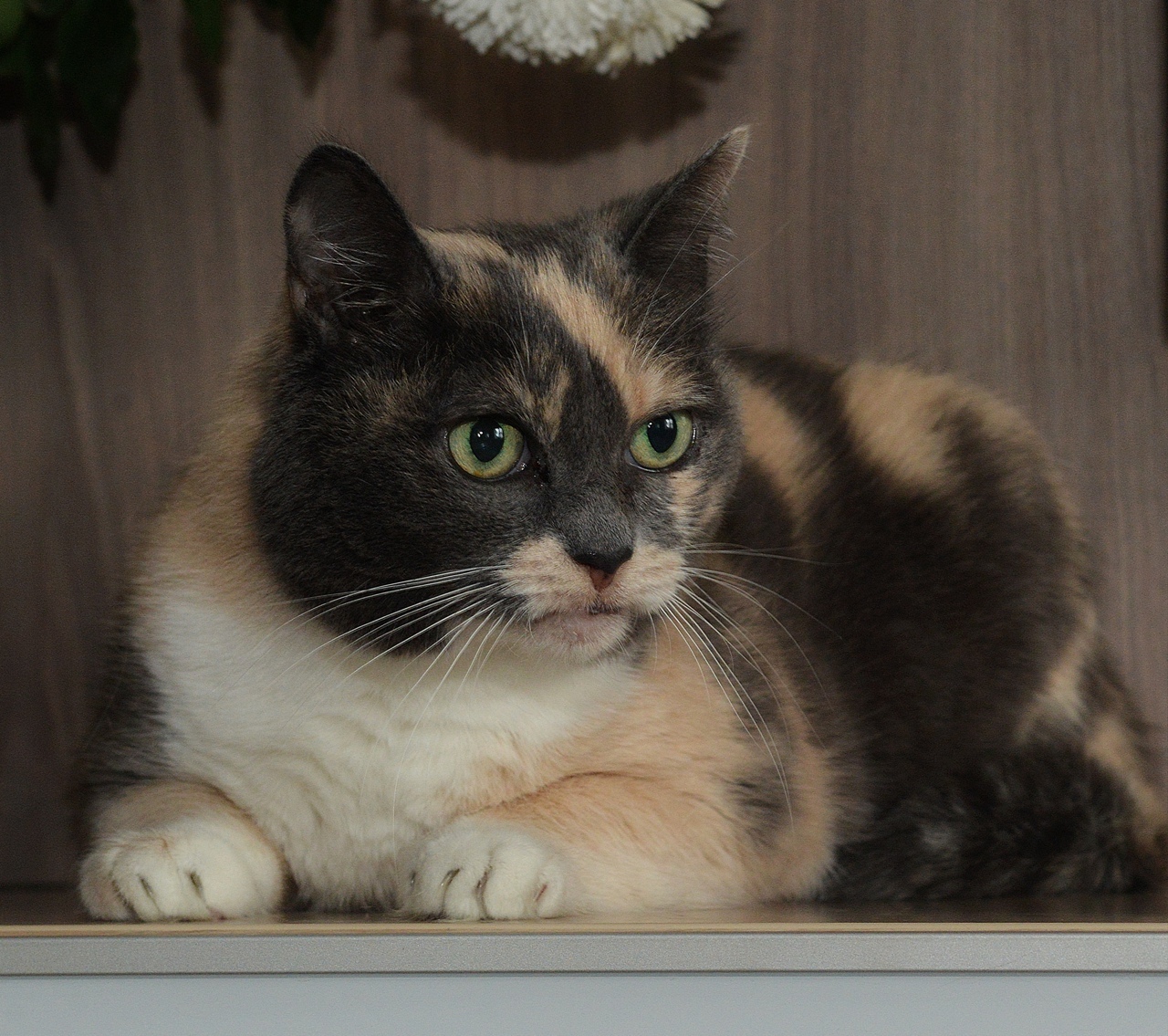 Я сегодня серьёзна как никогда