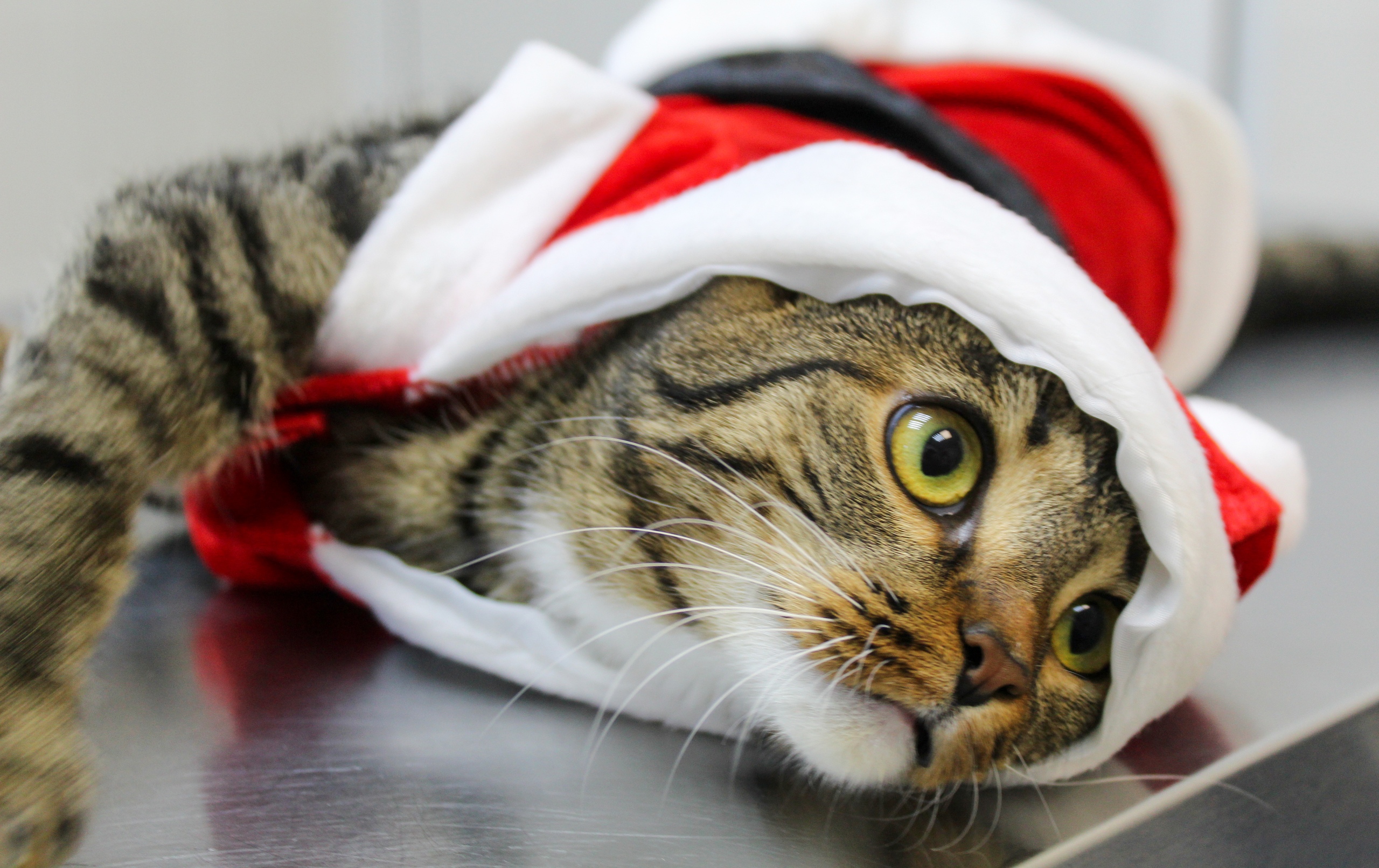 Ну, теперь та мне можно костюм снять