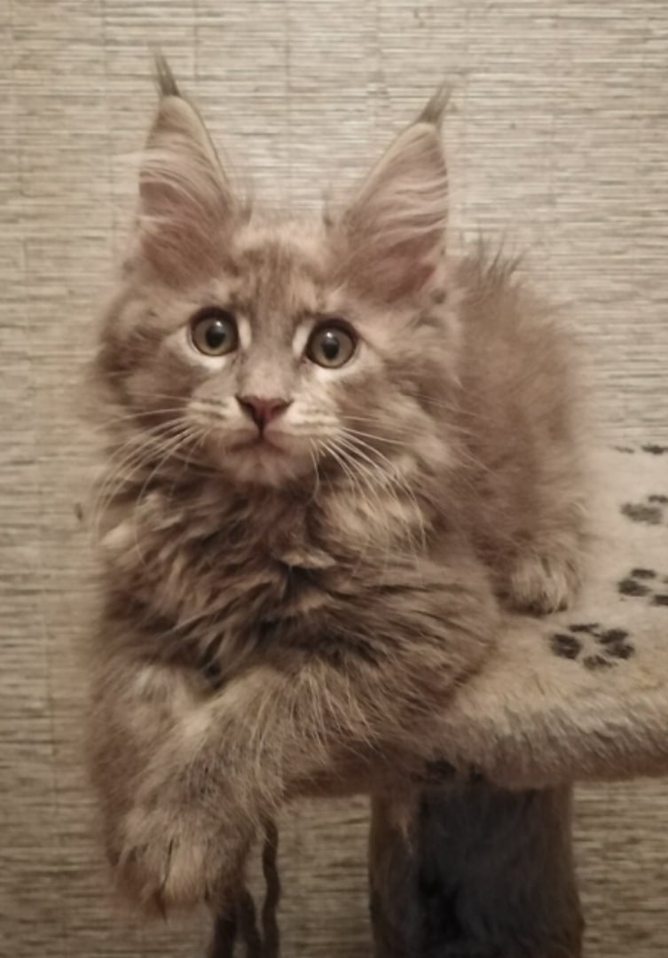 Как спать пора, я ещё не наигрался