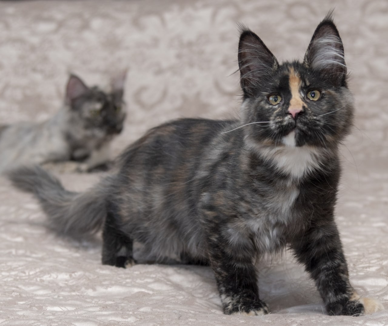 С работы не задерживайтесь, а то мы будем скучать