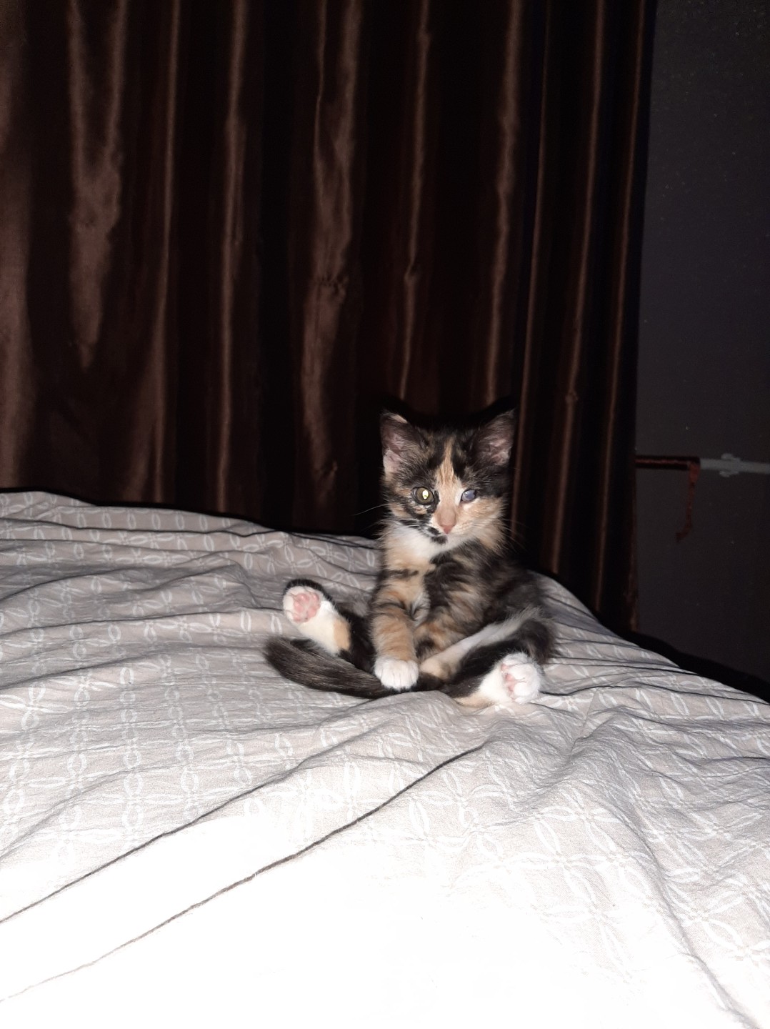 Ну давайте, развлекайте меня