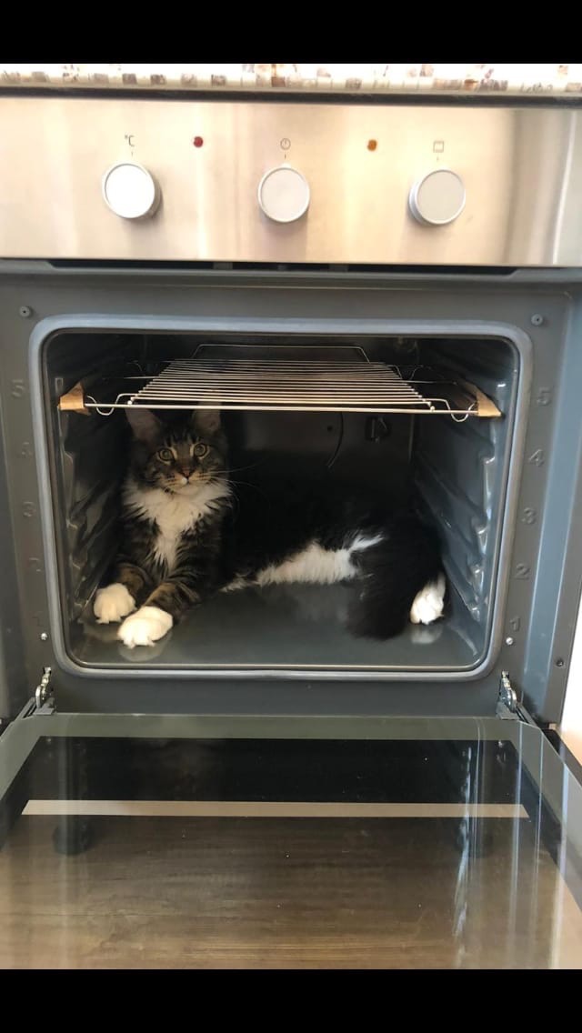 Раз пироги не печёте, поживу ка я здесь