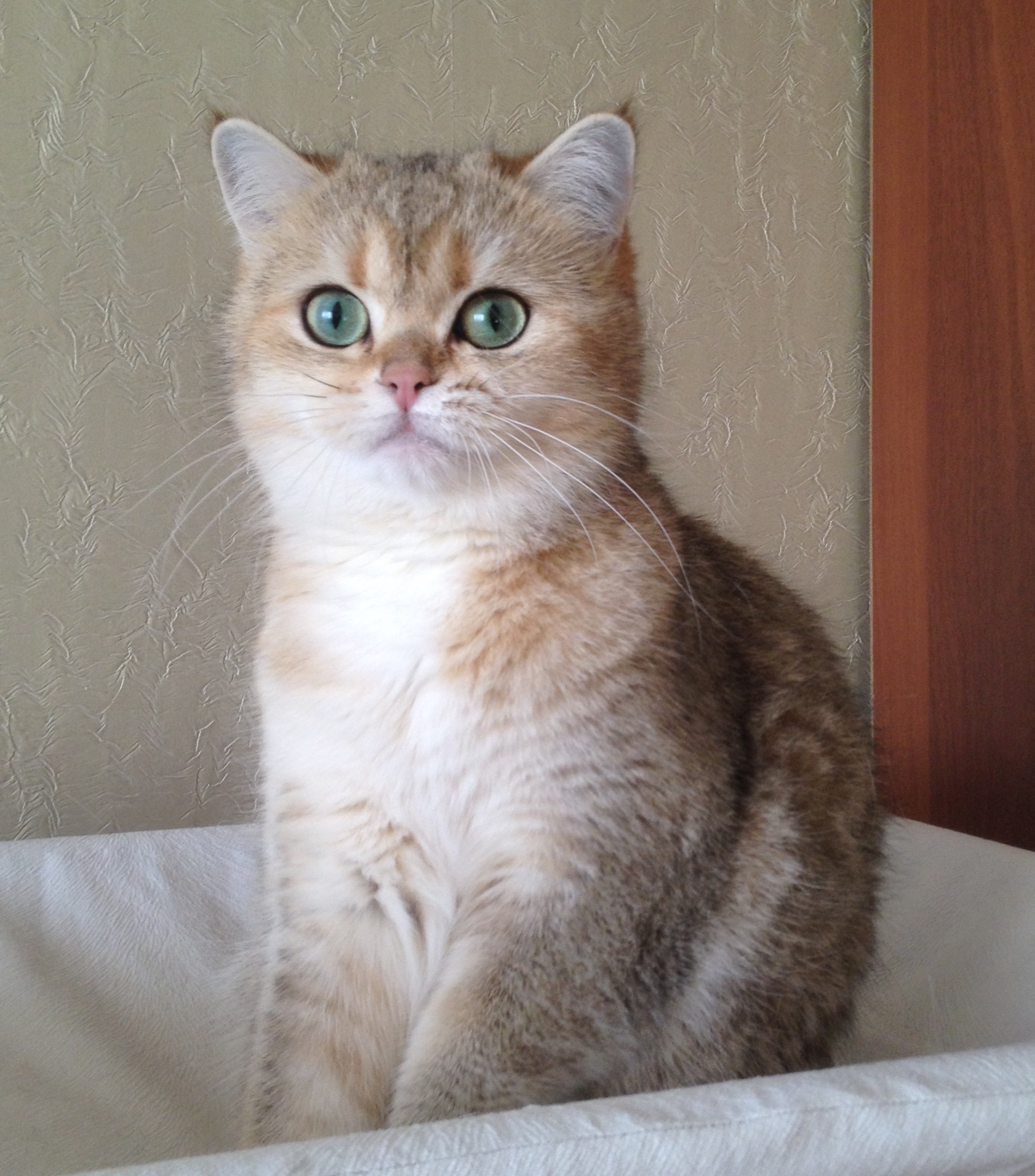 Почему я так выгляжу, да потому что только проснулась