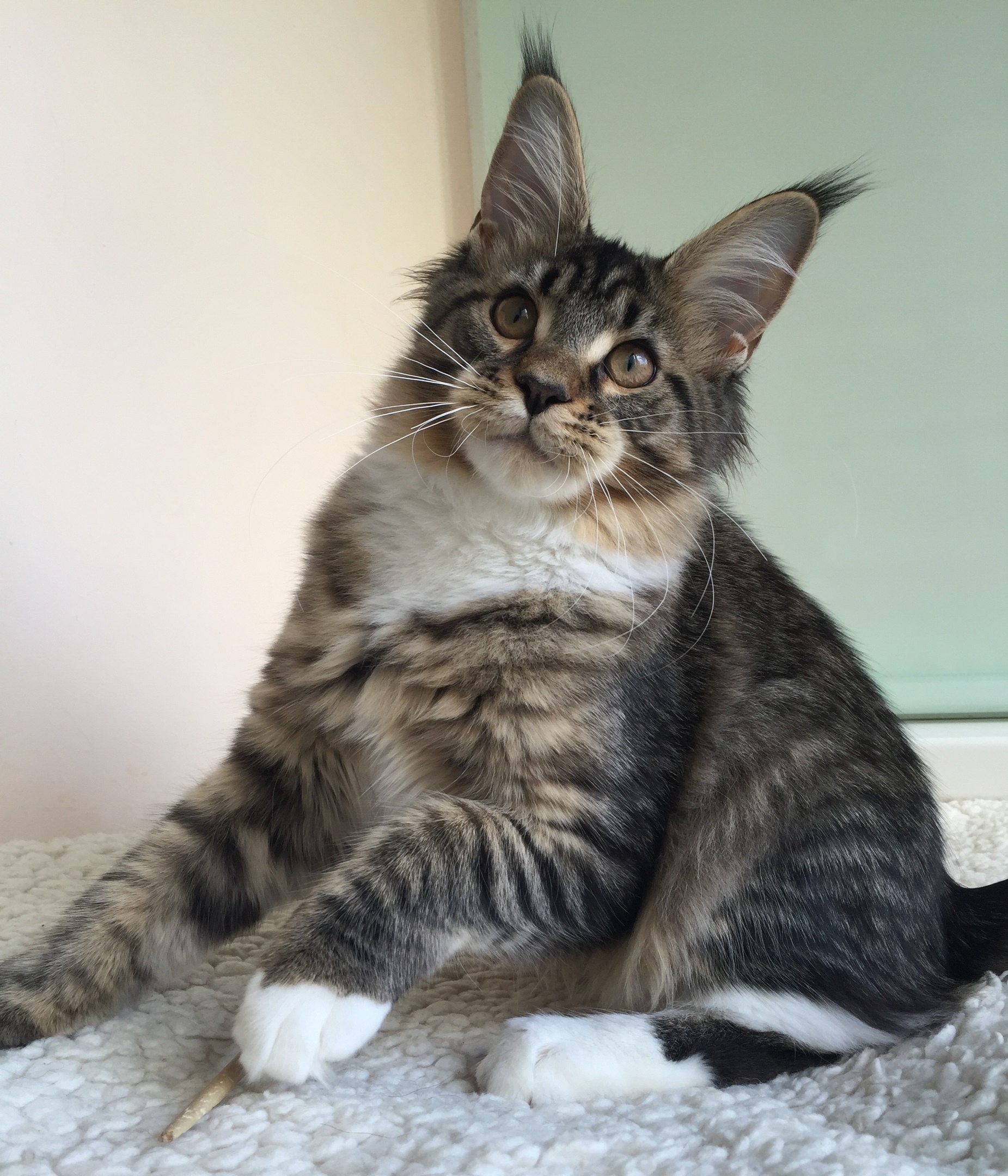 Вам бы всё выбрасывать, а эта палочка мне нужна