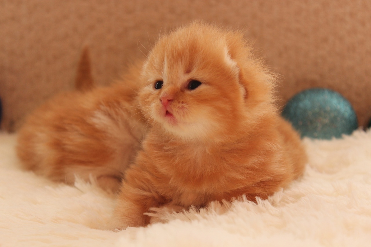 Эй няньки, почему нас бросили без присмотра