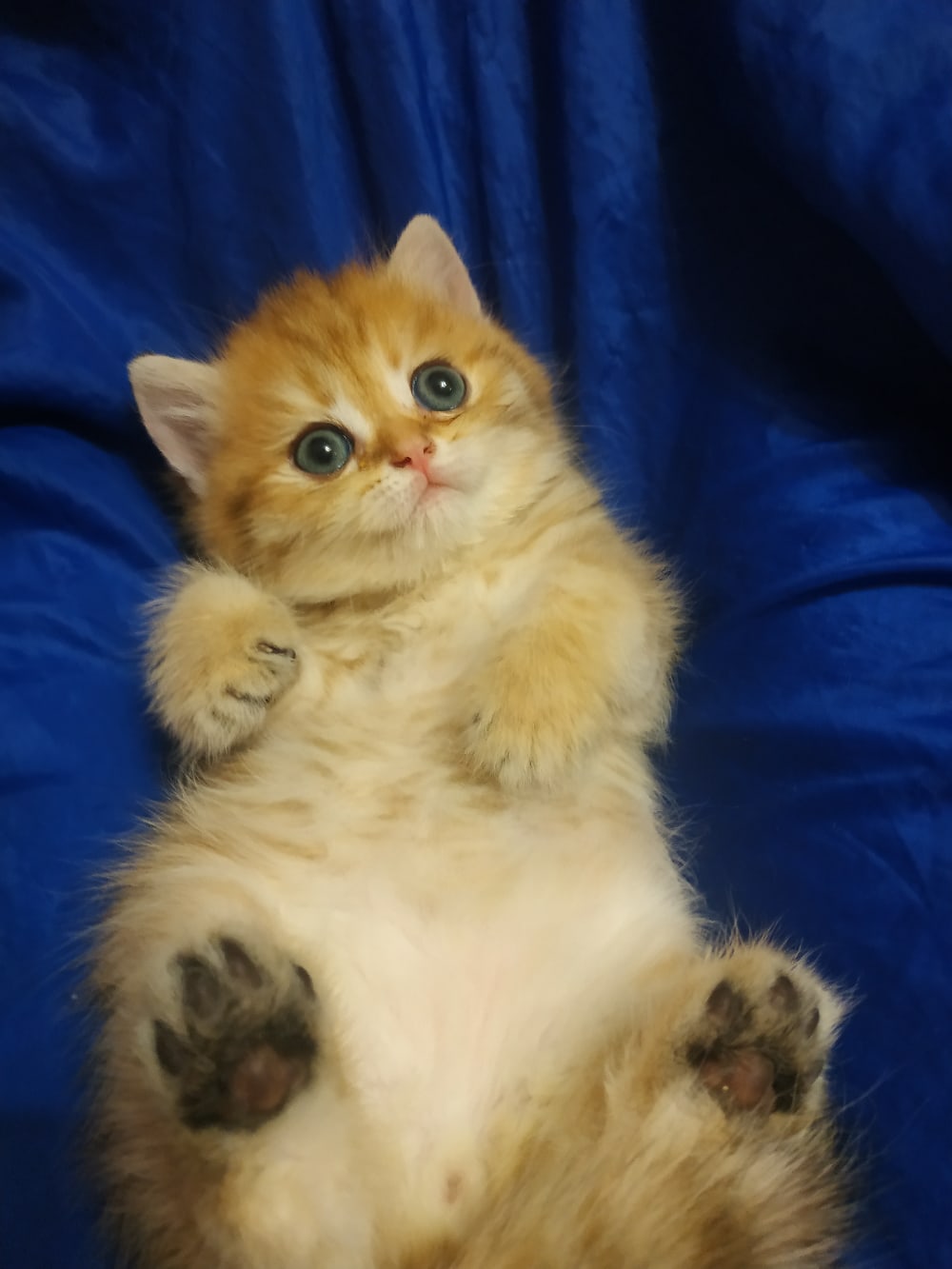 Что то у меня в боку колет, не почешите