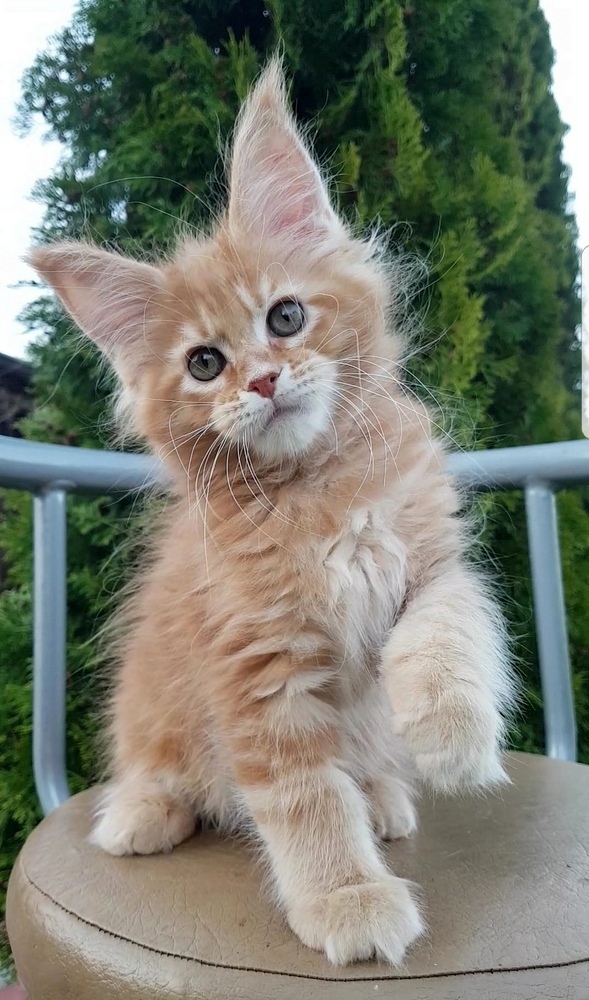 Присаживайтесь, посидим - поболтаем