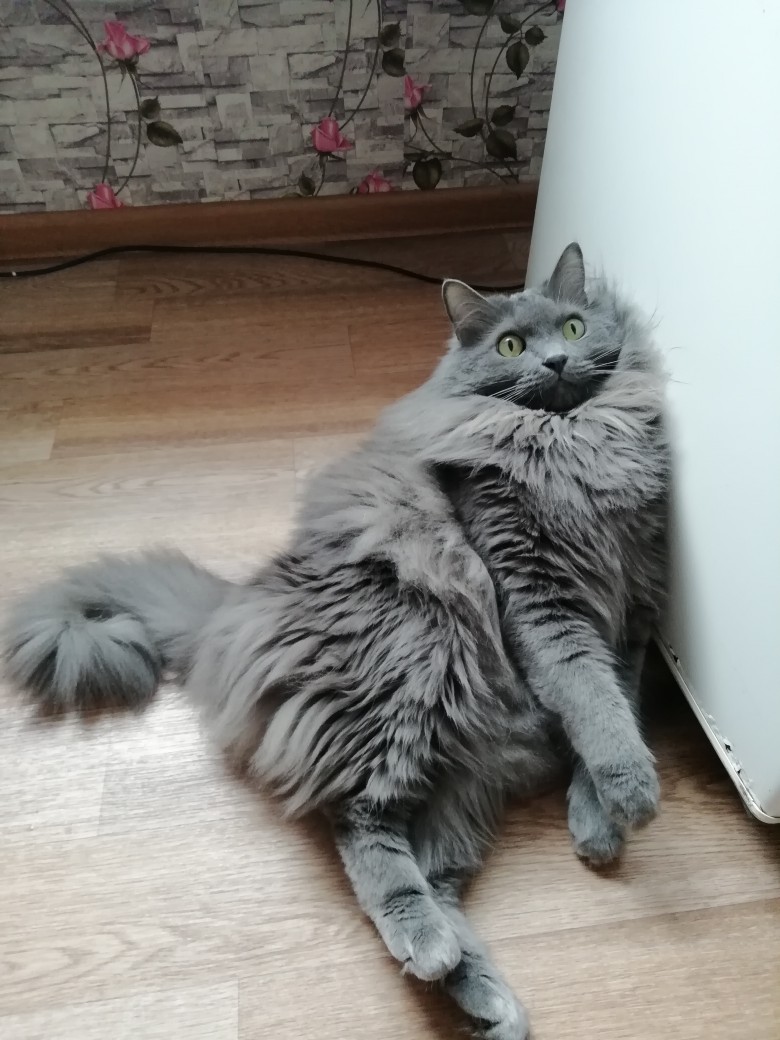 Не подходите, это мой холодильник