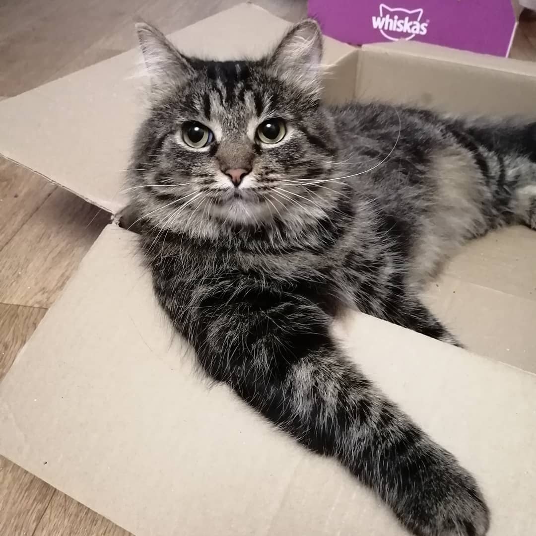 Ну, Вы это, заходите если что