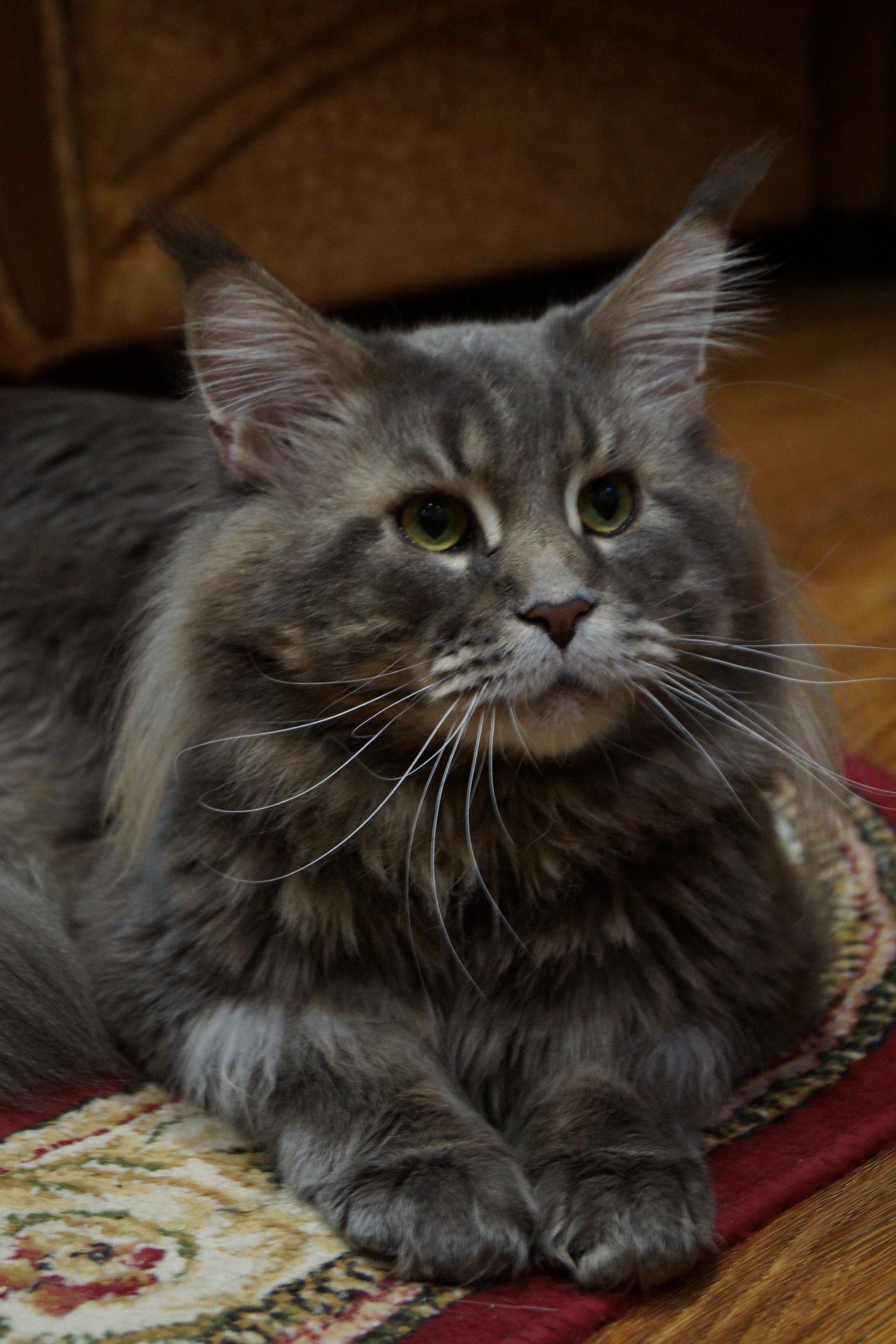 Положите меня к себе под бочок