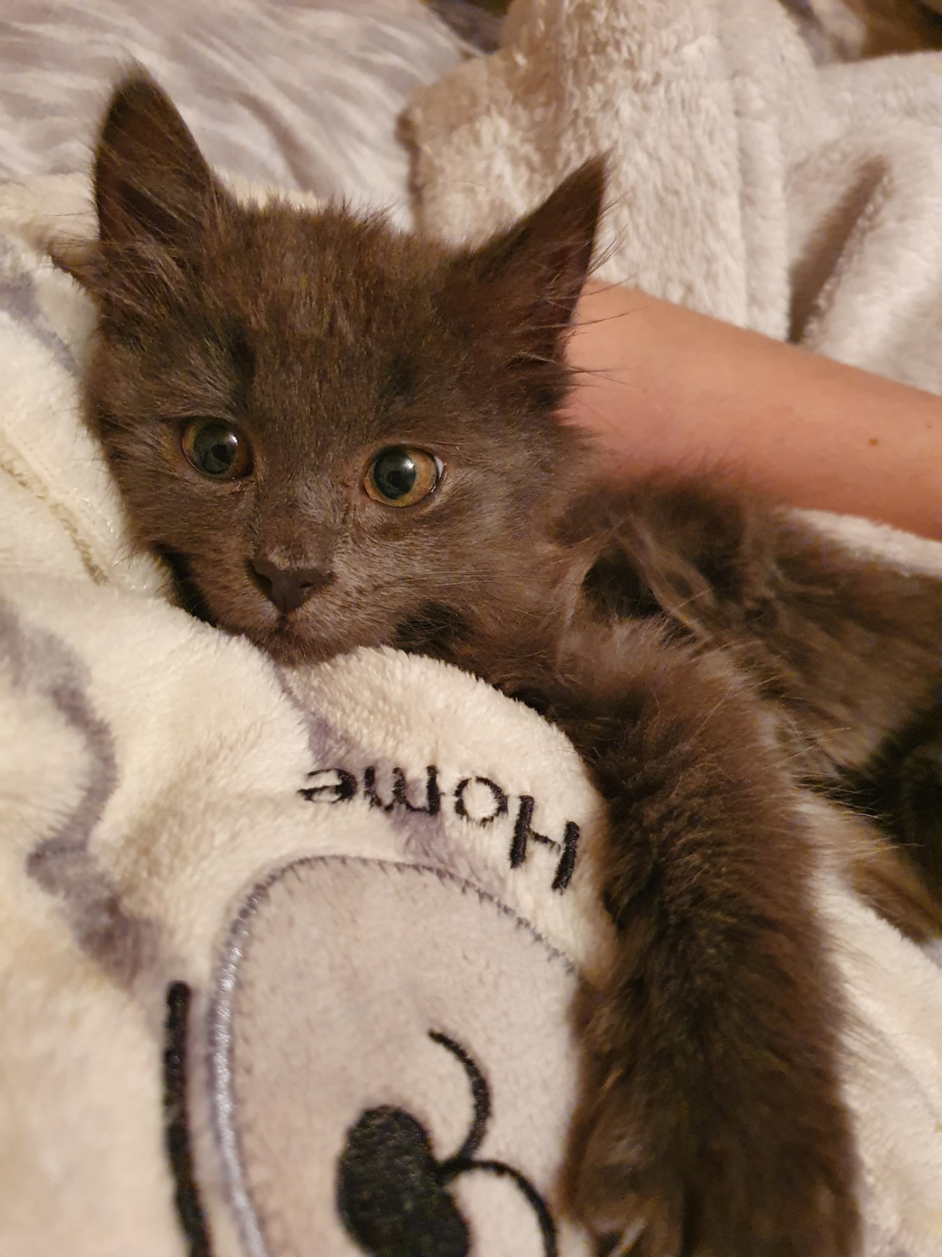 Мне понравился массаж, можете продолжать