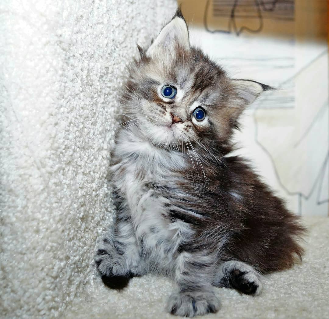 Отвернитесь, я смущаюсь