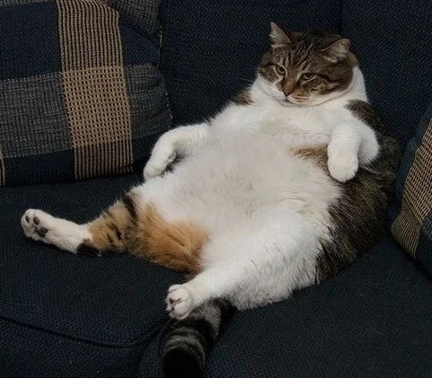 Время уже пол шестого, а я ещё не завтракал