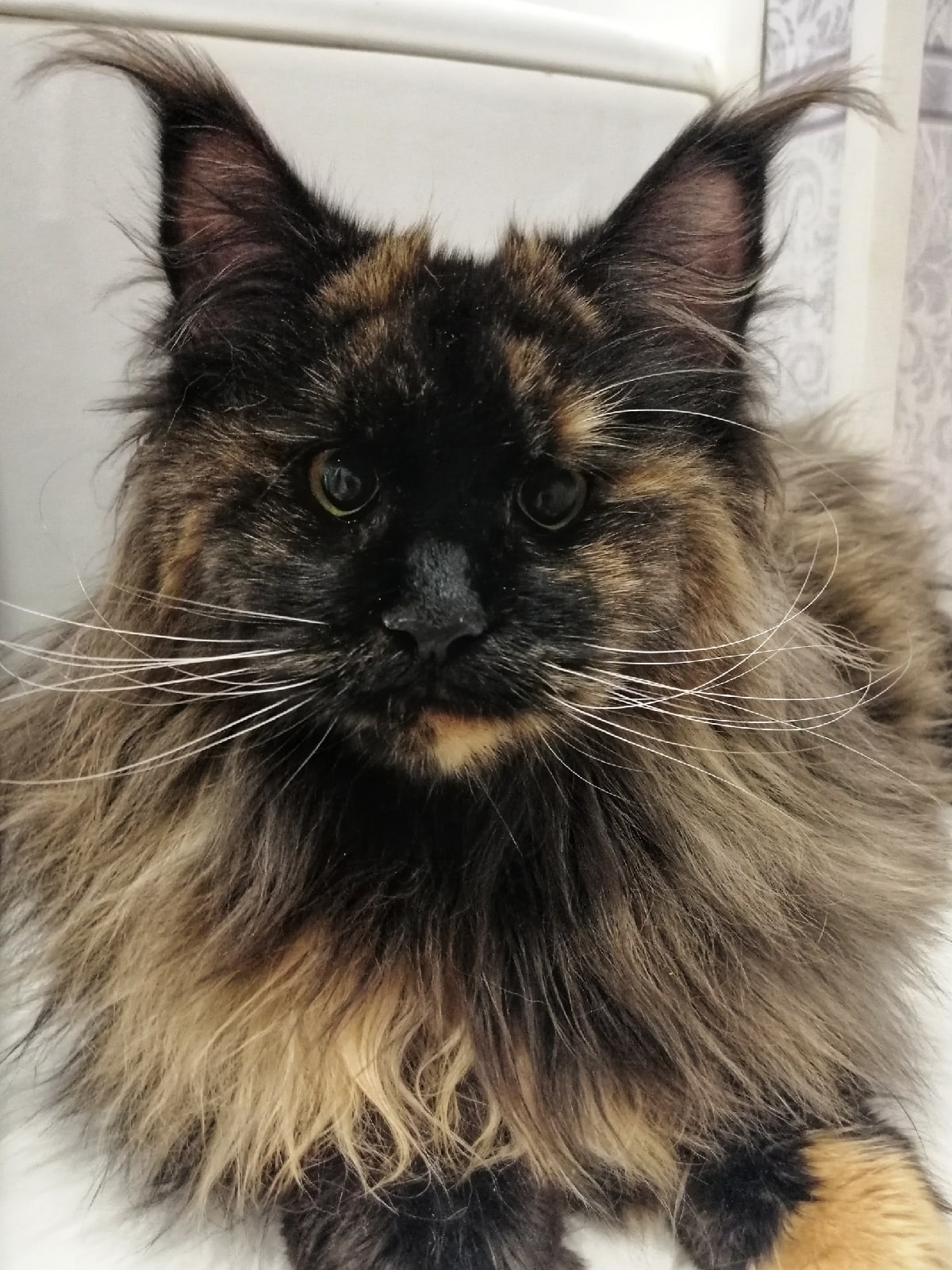 Гостей проводили, теперь уделите мне время