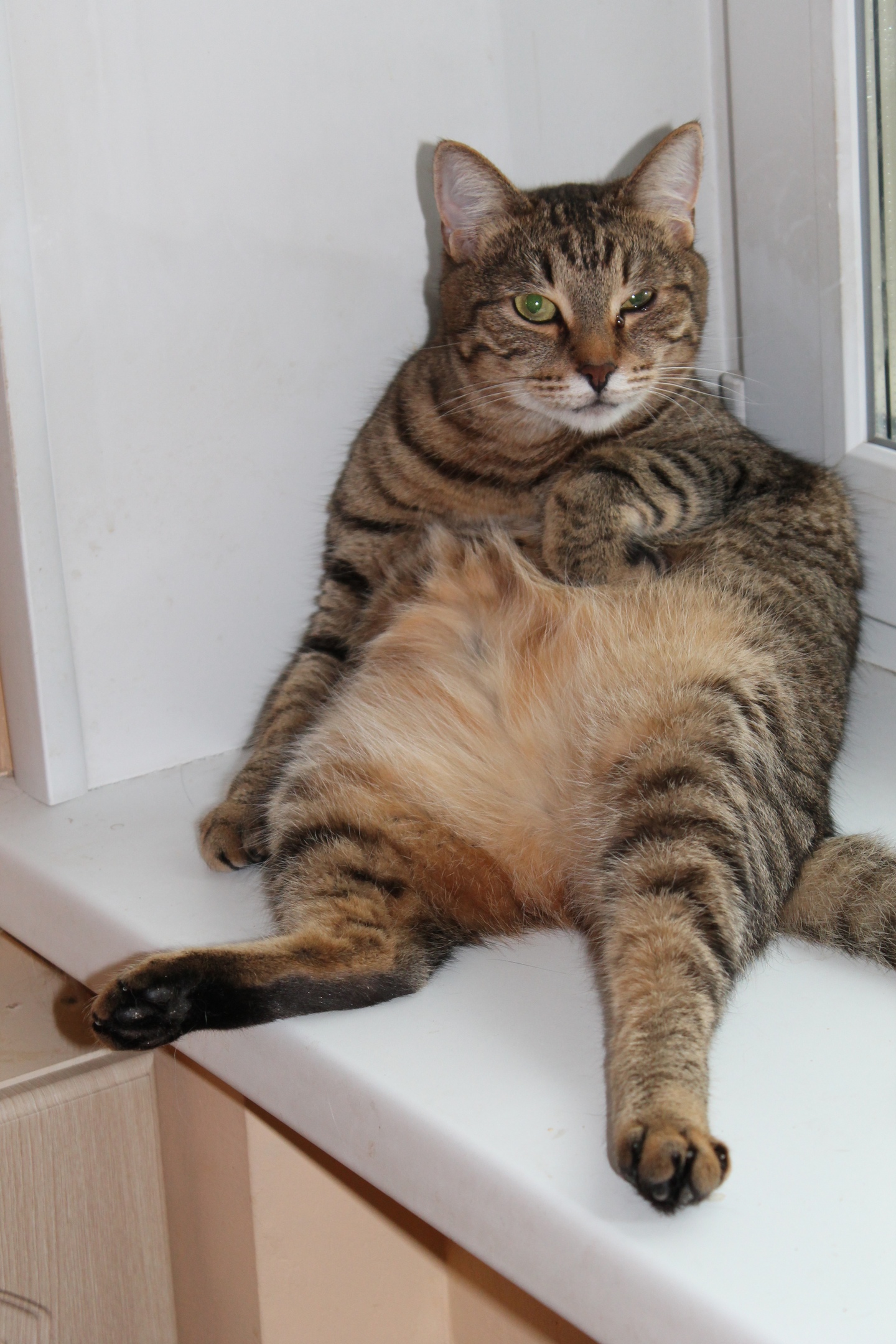 Что, у Вас ещё какой то салатик завалялся