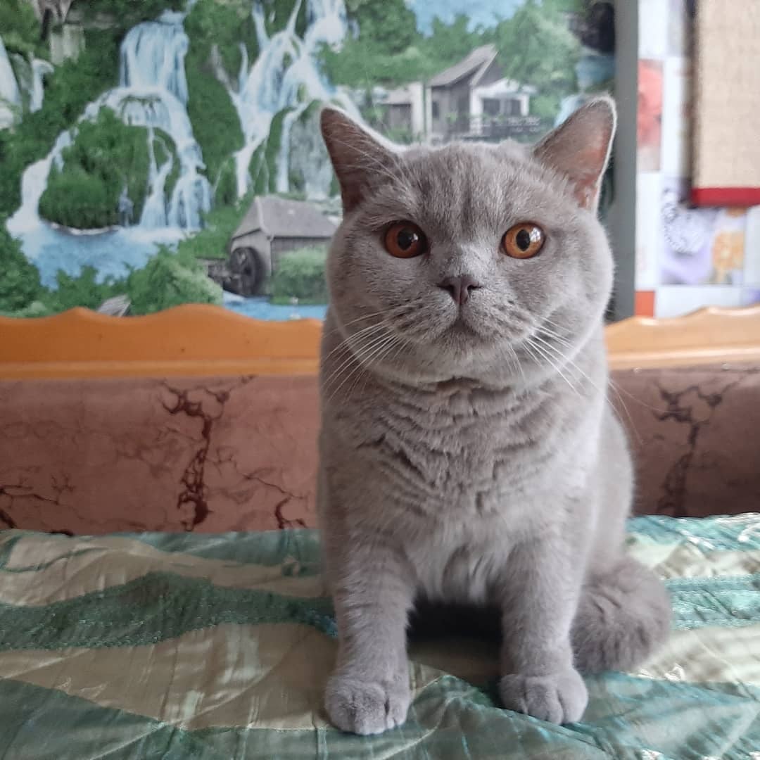 Что то я не пойму, выспался или нет