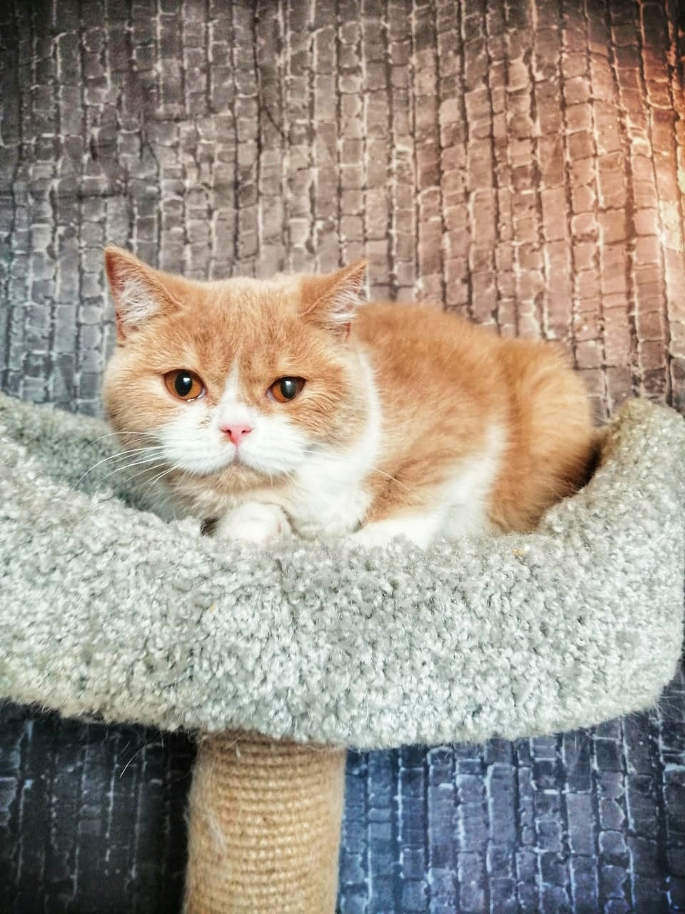 Дайте отоспаться после праздников