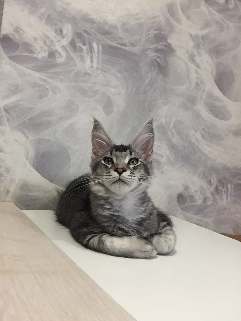 Позови меня с собой