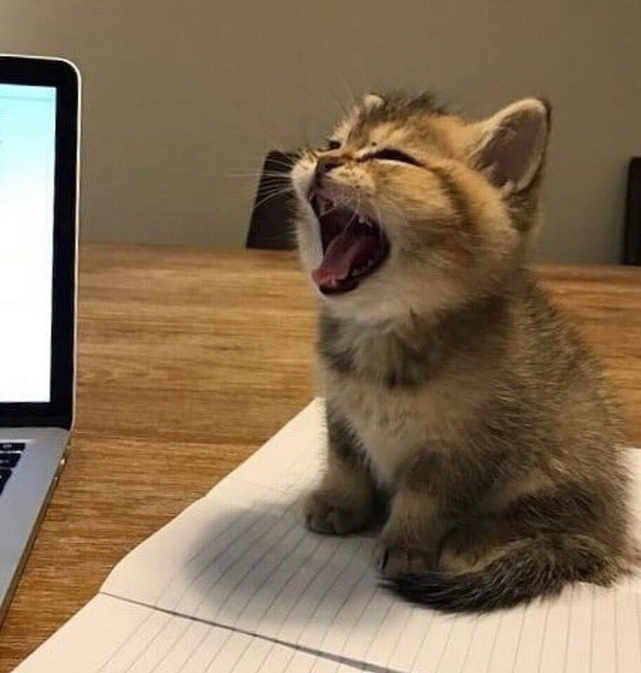 Буду плакать, пока не бросите свой интернет