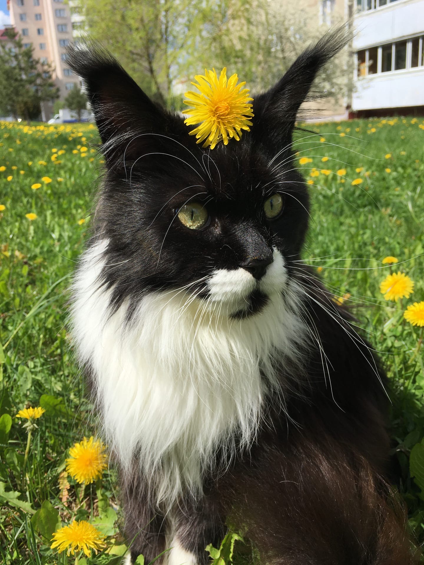 Такая красота, аж сердце замирает