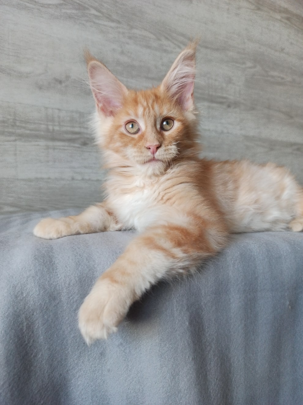 Вот это я поспал, без усов остался