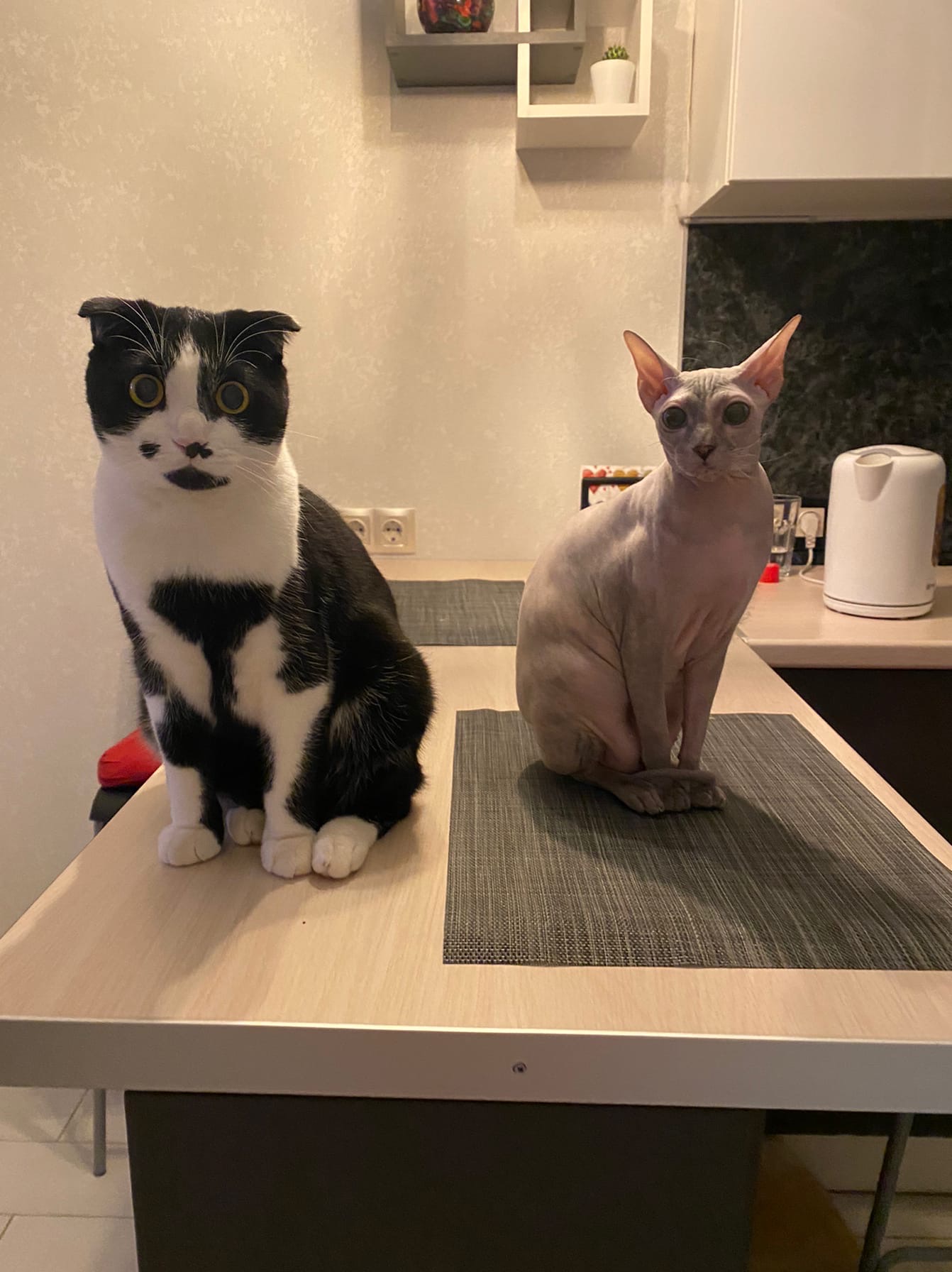 А где обещанные деликатесы