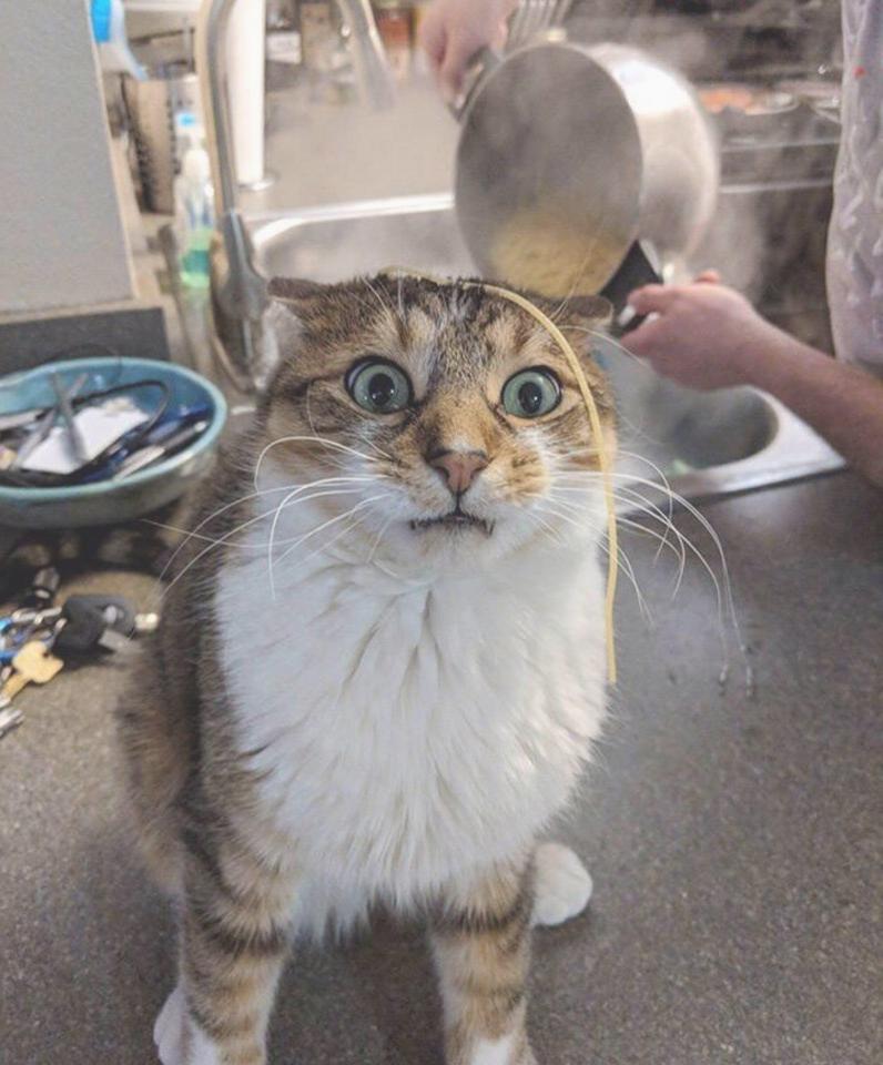 Кажется, я получил свою порцию на голову