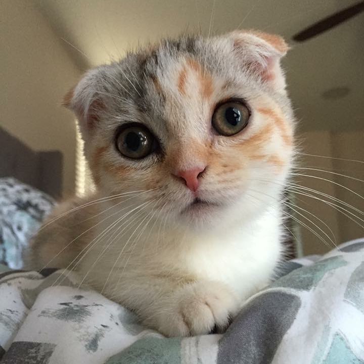 Я проснулась, а вот чем заняться незнаю