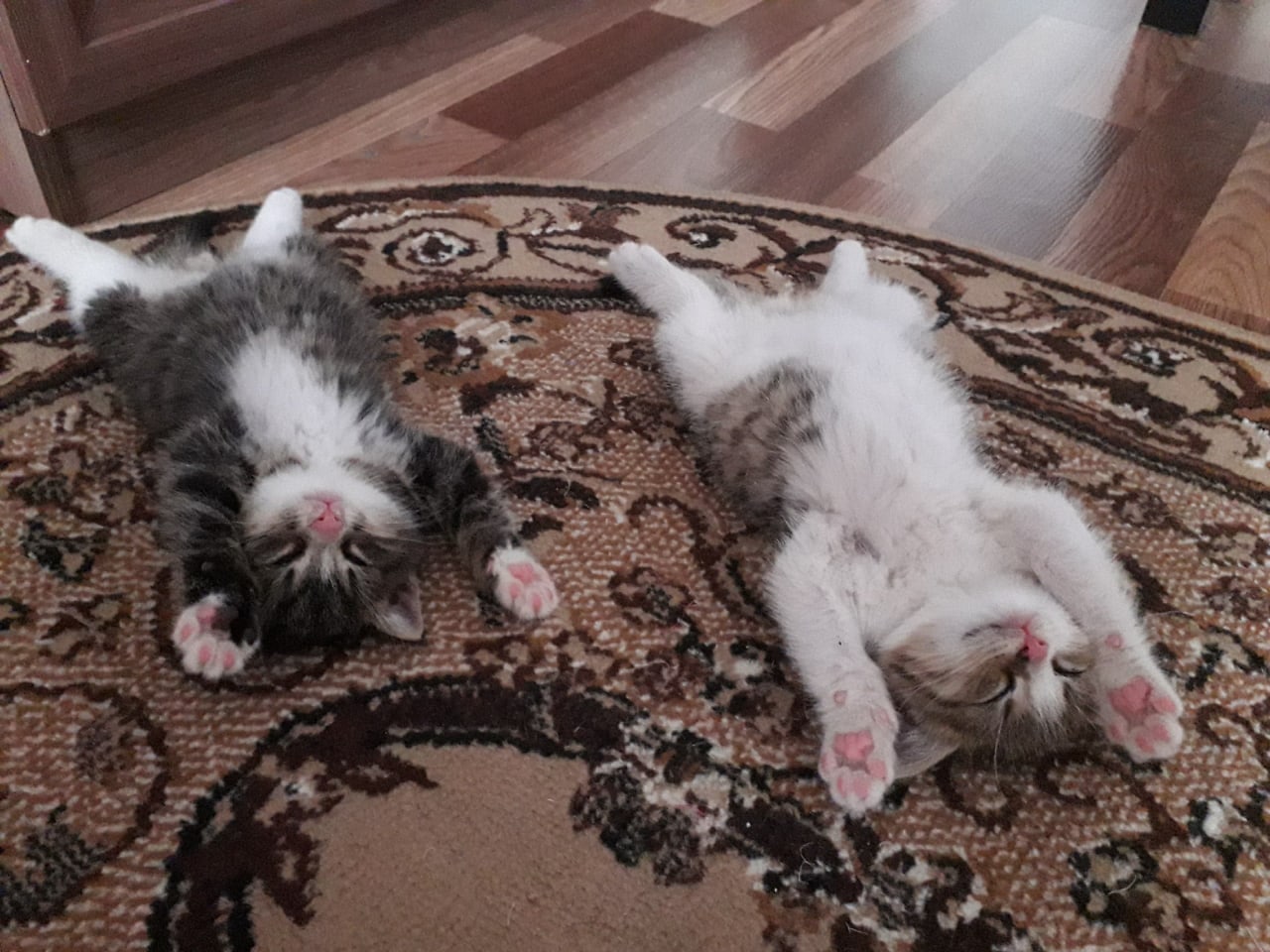 Озорники на подзарядке