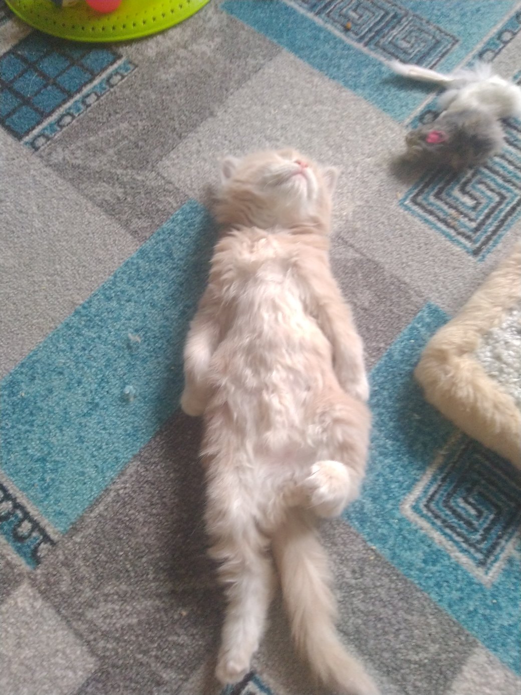 Всех победил, теперь можно и поспать