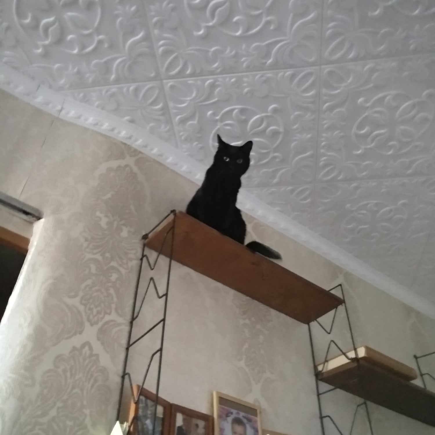 Не скажу, как сюда залезла, но снимать придётся Вам