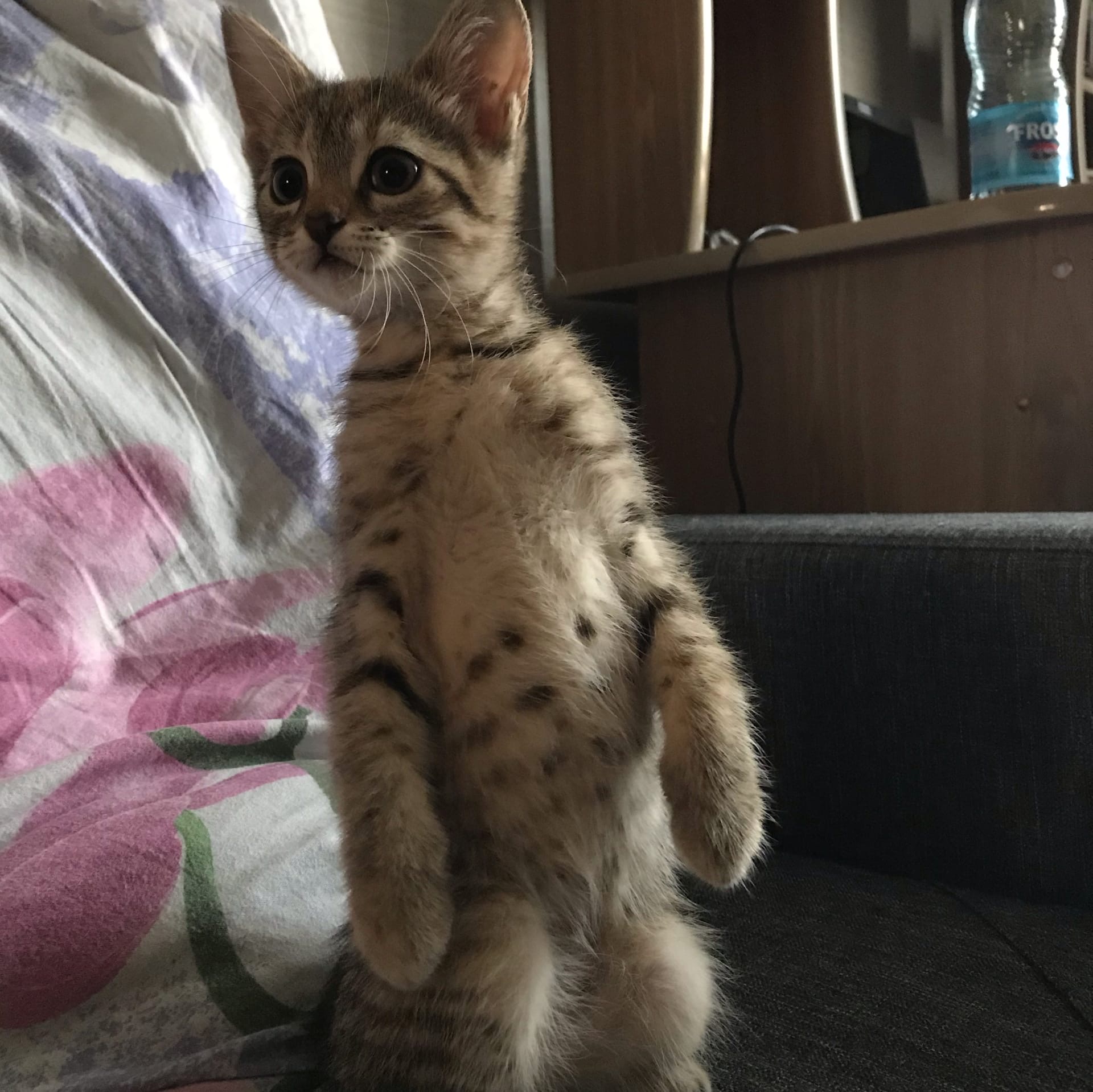 Кто бы там не пришёл, наверно лучше спрятаться