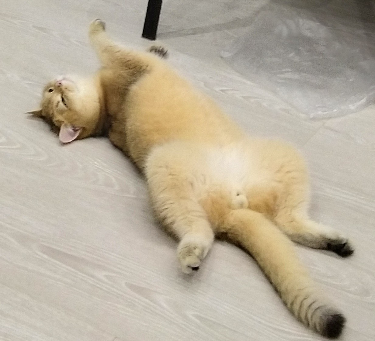 Не дайте умереть от жажды, принесите водички