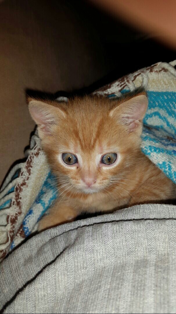 А свитерок та у Вас, не шерстяной