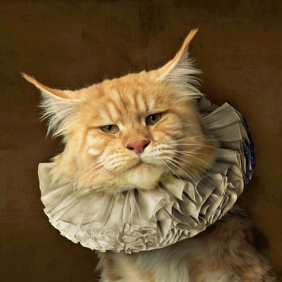 Сегодня ожидаются гости, поэтому всё должно быть безупречно