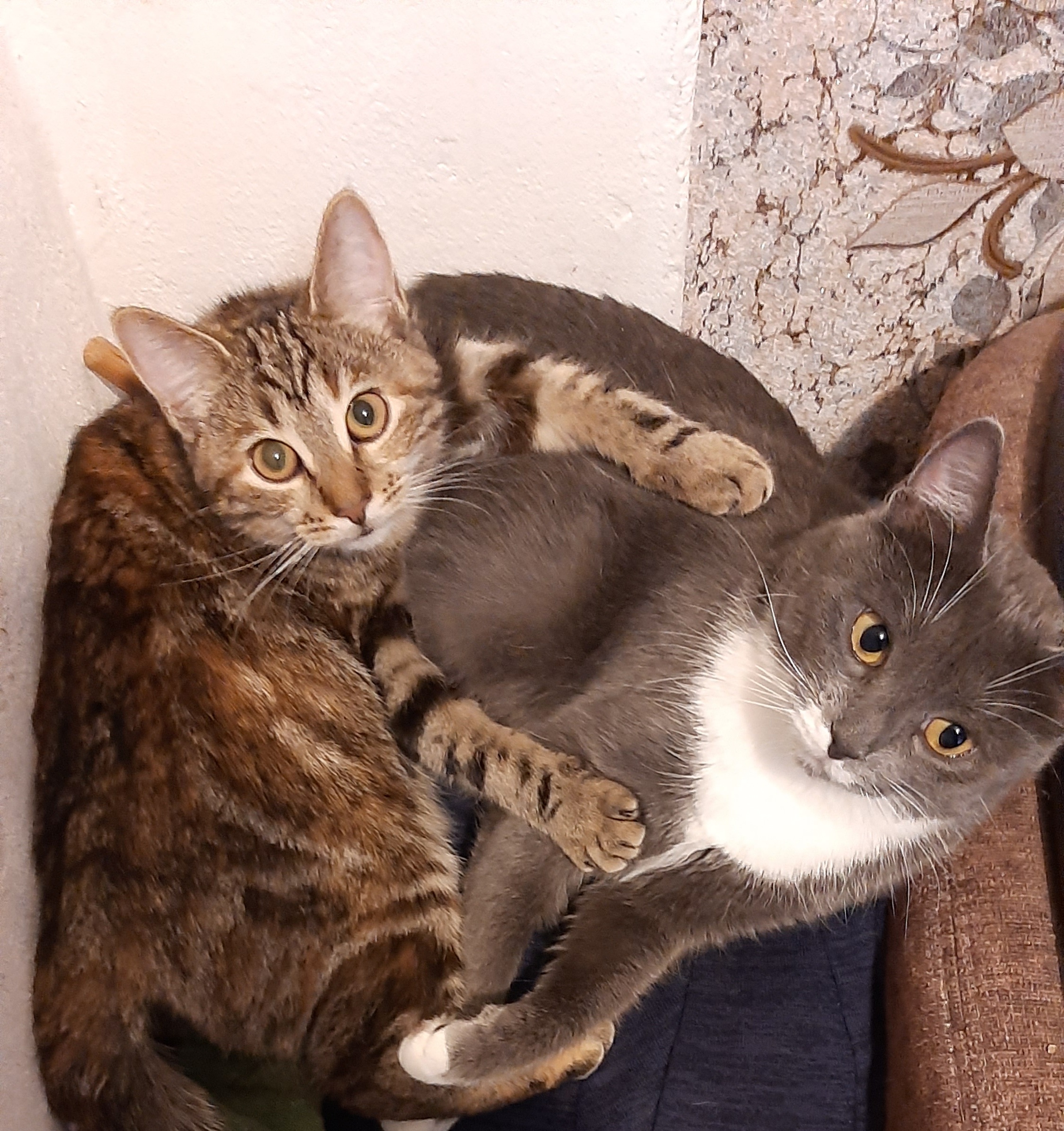 Ну, что ты хочешь?