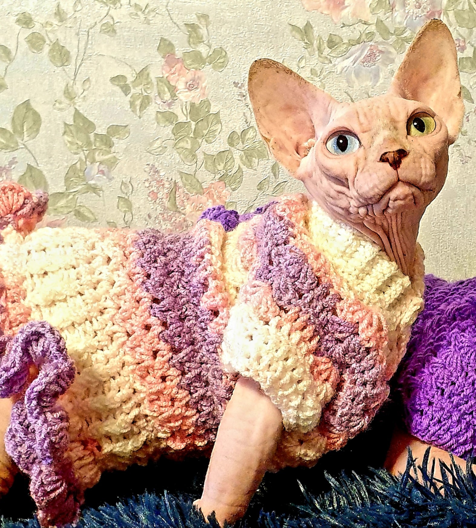 Очаровательная модница