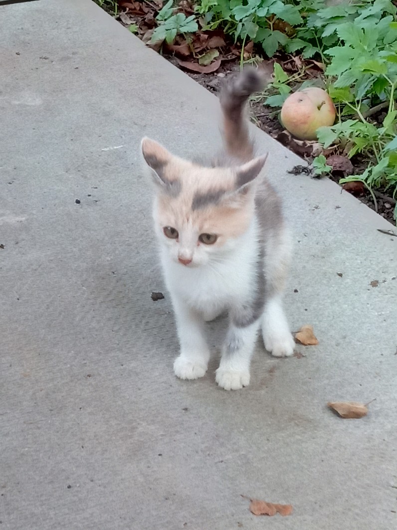 Кажется, я придумала чем заняться