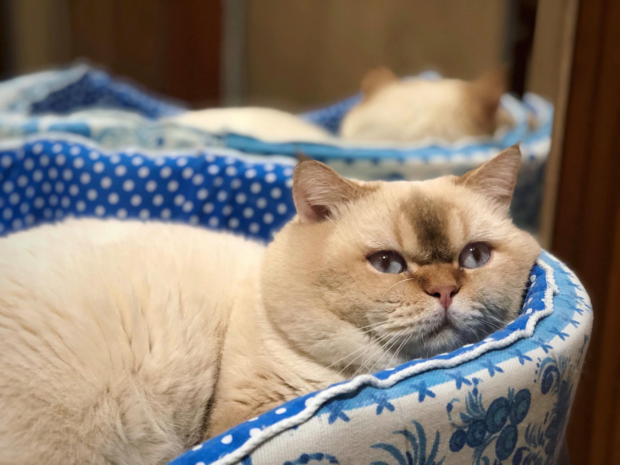 Интересно, какие цветочки мне подарит хозяин