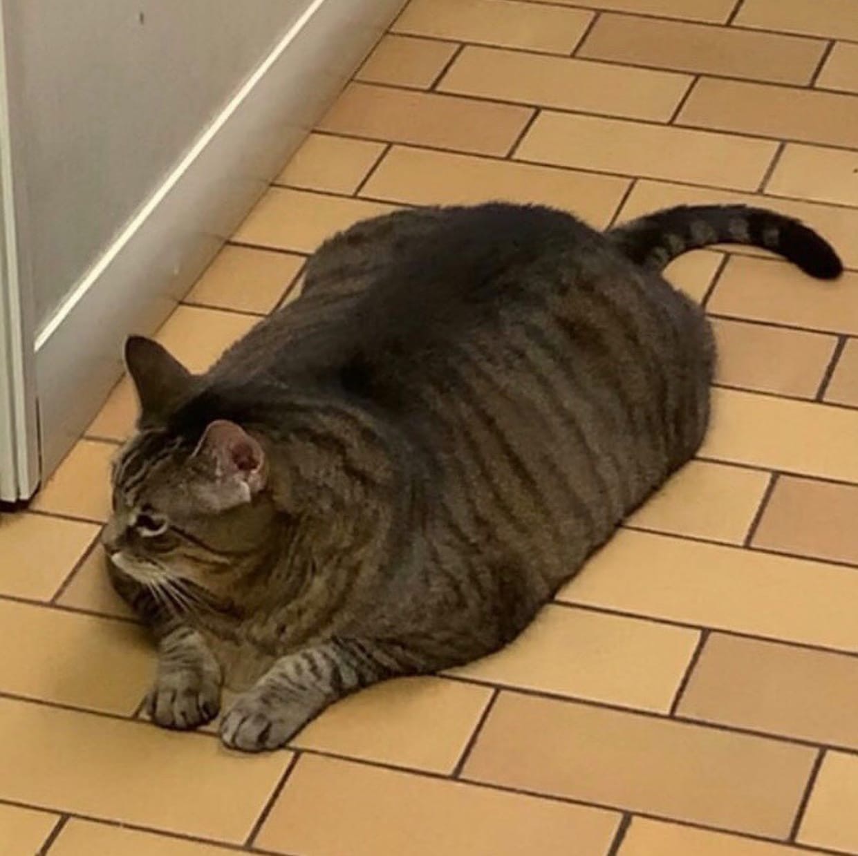 Минуточку передохну и тогда дальше пойду