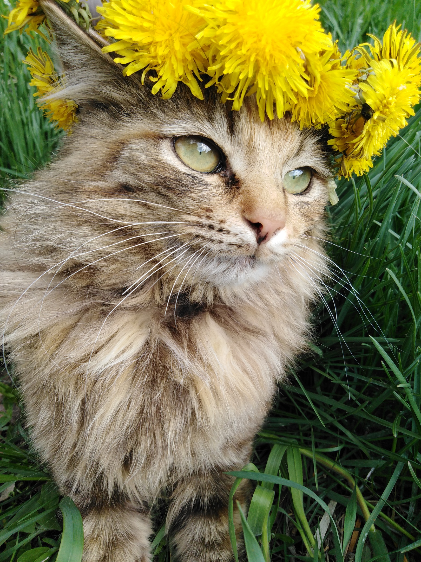 Весна, цветы, романтика