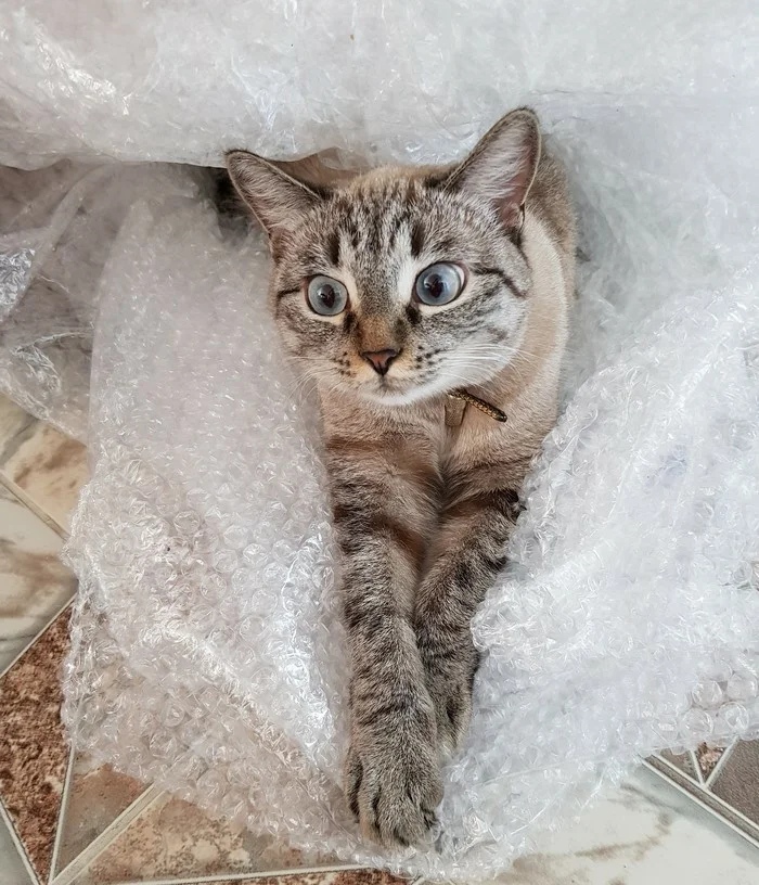 Вот это я кайфанула