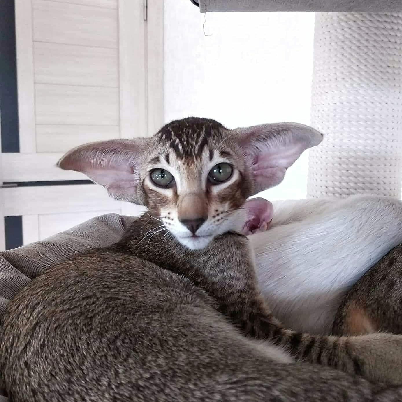 У нас тихий час