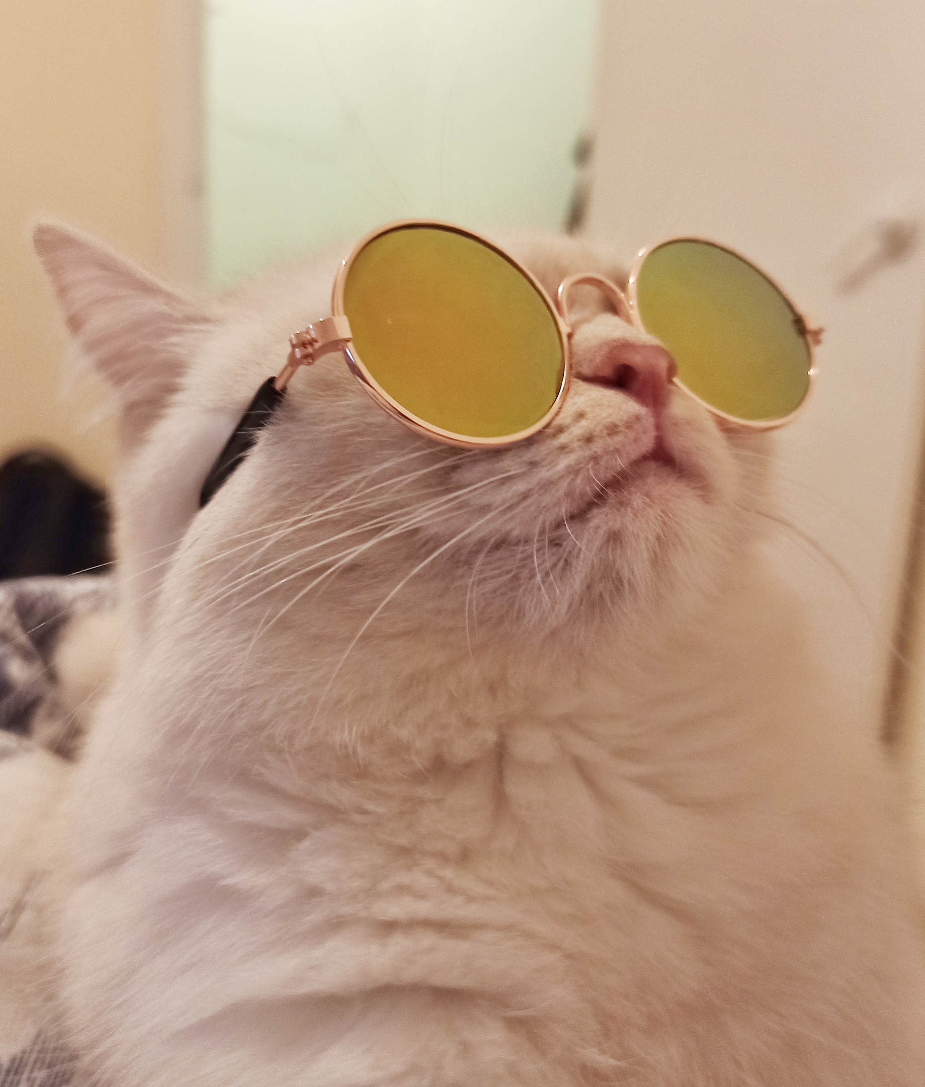 Ах лето, я так тебя заждался